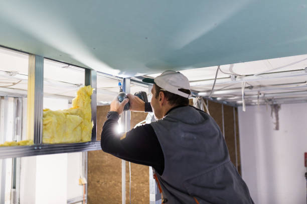 Best Insulation Maintenance and Repair in Carthage, IL