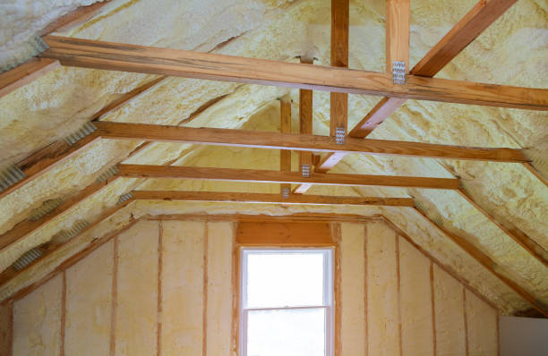 Best Commercial Insulation in Carthage, IL